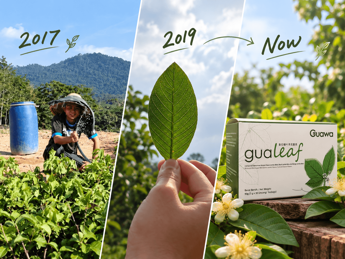 GUAWA brand journey: 2017, 2019 and today.